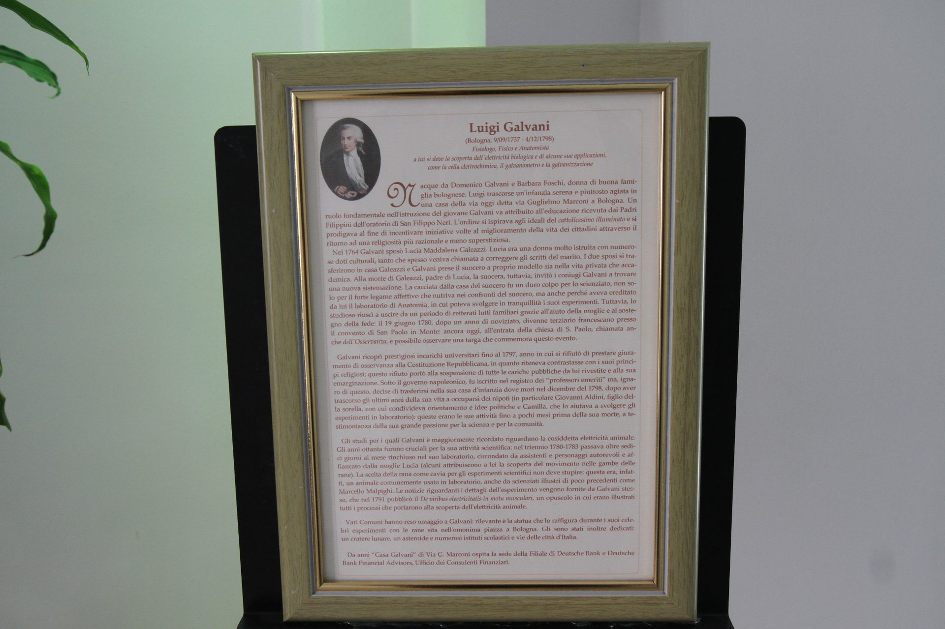 Luigi Galvani's home, Bologna - 09.JPG
